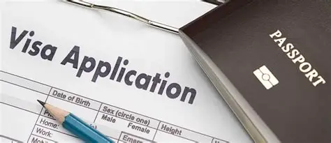Visa review service
